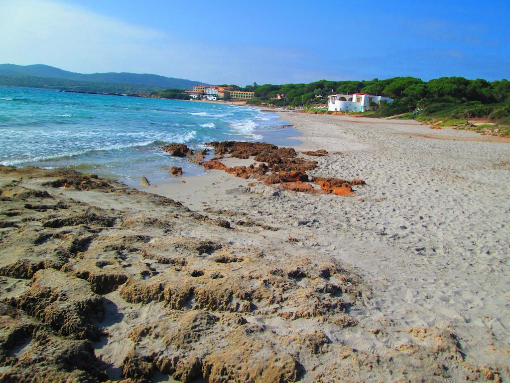 Appartamento Maraviglios Alghero Zewnętrze zdjęcie